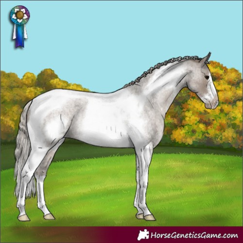 Horse Color:Silver Grullo Roan Tobiano Frame Rabicano 