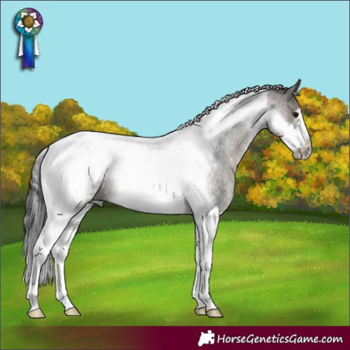 Horse Color:Grullo Roan Tobiano Frame Rabicano