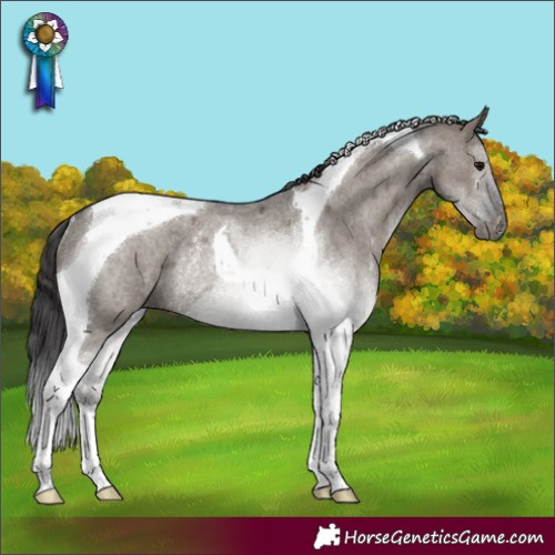 Horse Color:Smoky Grullo Roan Tobiano Rabicano