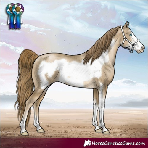 Horse Color:Buckskin Pearl Sabino Frame Rabicano