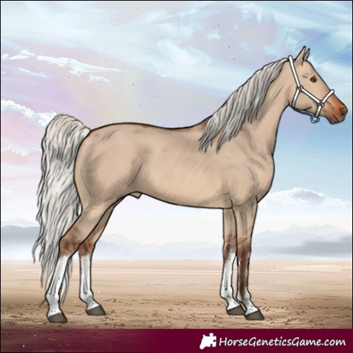 Horse Color:White Spotted Silver Brown Dun 