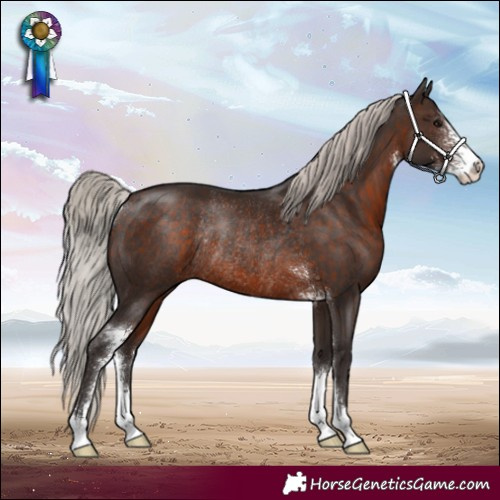 Horse Color:Silver Brown Sabino Rabicano