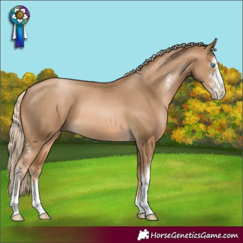 Horse Color:Chocolate Palomino Pearl Sabino 