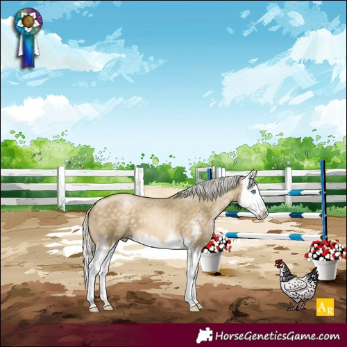 Horse Color:Silver Buckskin Pearl Sabino Splash 