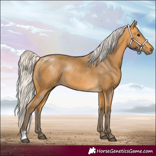 Horse Color:Silver Buckskin