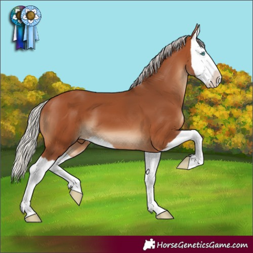Horse Color:Silver Bay Splash