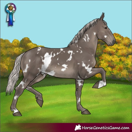 Horse Color:White Spotted Silver Black 