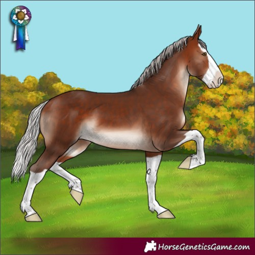 Horse Color:Silver Bay Mushroom Splash