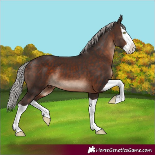 Horse Color:Silver Brown Mushroom Splash