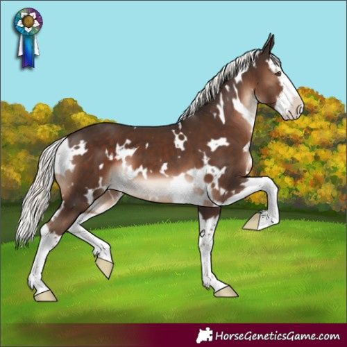 Horse Color:White Spotted Liver Chestnut Mushroom Splash 