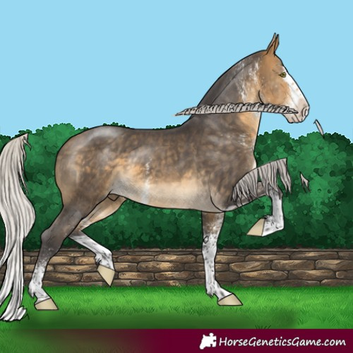 Horse Color:White Spotted Silver Buckskin Mushroom Splash