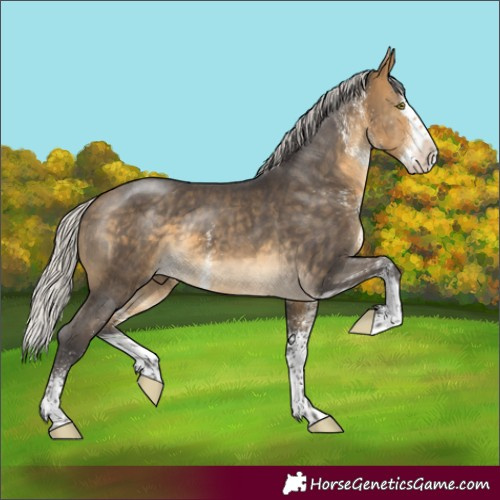 Horse Color:White Spotted Silver Buckskin Mushroom Splash