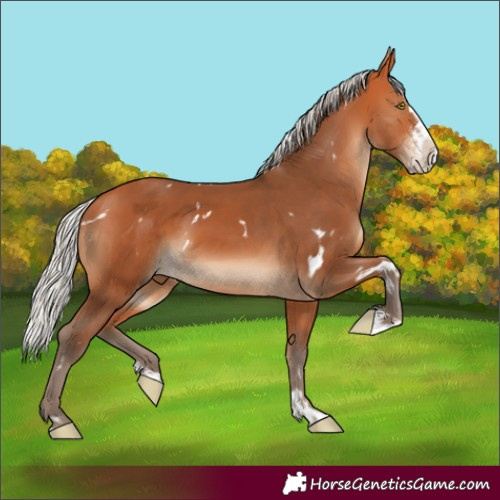 Horse Color:White Spotted Silver Bay Sabino Splash