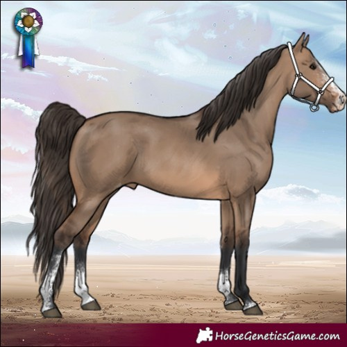 Horse Color:Brown Dun Sabino Varnish