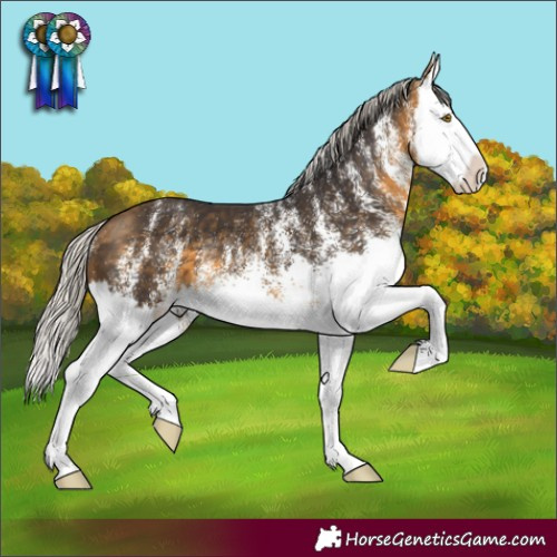Horse Color:White Spotted Silver Buckskin Splash 