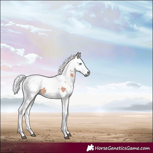 Horse Color:Silver Brown Harlequin Merle Tobiano