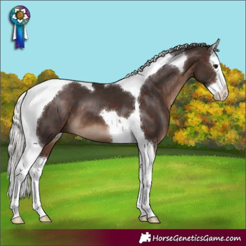 Horse Color:Silver Brown Splash Tobiano 