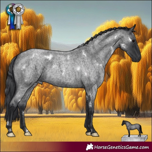 Horse Color:White Spotted Blue Roan
