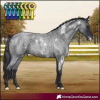 Horse Color:White Spotted Blue Roan