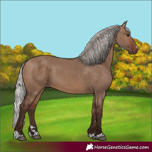 Horse Color:Silver Brown Dun 