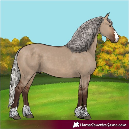 Horse Color:Unknown