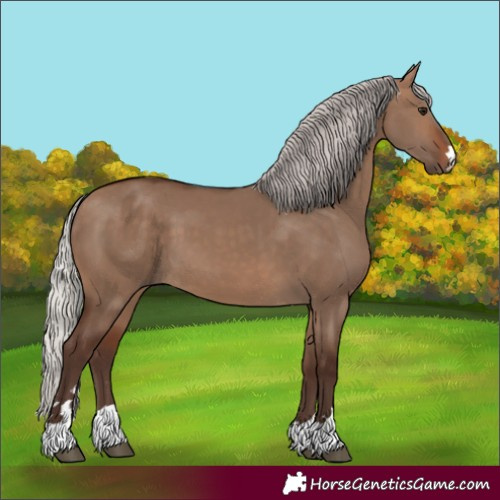 Horse Color:Silver Brown Dun 