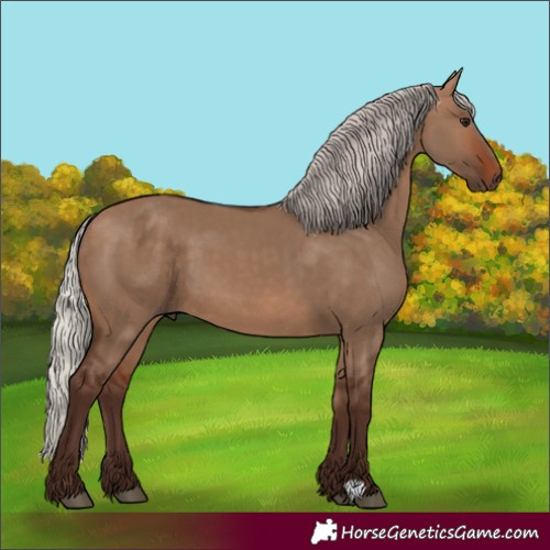Horse Color:Unknown