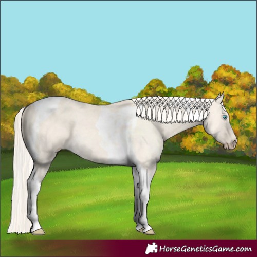 Horse Color:Cremello Dun Tobiano 
