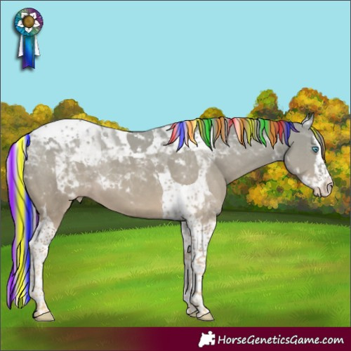 Horse Color:Platinum Painted Perlino Splash Tobiano