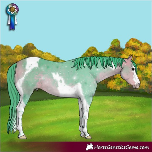 Horse Color:Watercolor Buckskin Tobiano