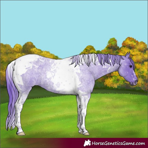 Horse Color:Watercolor Smoky Blue Roan Tobiano