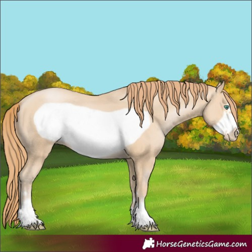 Horse Color:Smoky Black Pearl Frame