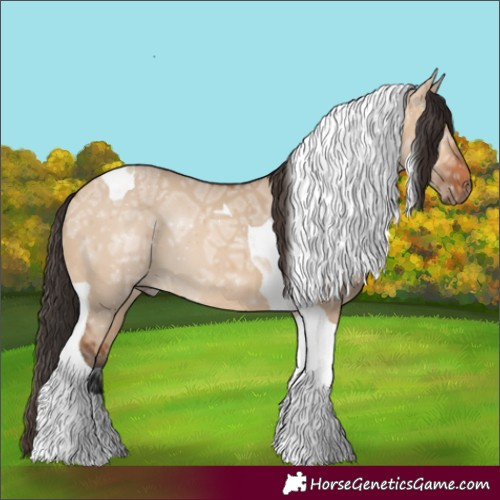 Horse Color:Bay Ice Dun Tobiano 