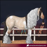 Horse Color:Bay Ice Dun Tobiano