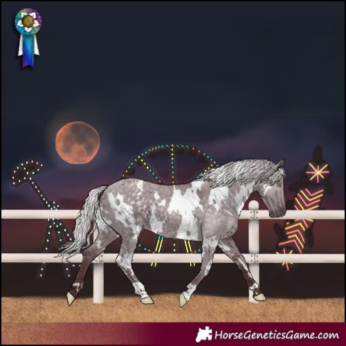 Horse Color:White Spotted Chocolate Silver Grullo Chinchilla 