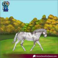Horse Color:White Spotted Chocolate Silver Blue Onyx Chinchilla 