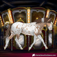Horse Color:Amber Champagne Splash Tobiano Blanket Rabicano