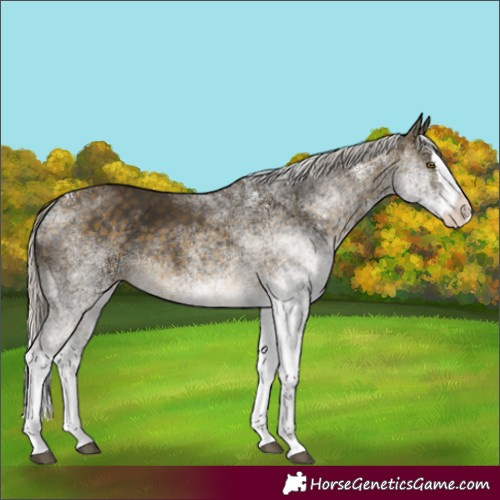 Horse Color:White Spotted Silver Buckskin Splash 
