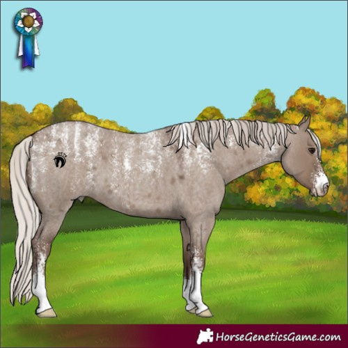 Horse Color:Powder White Silver Grullo Roan