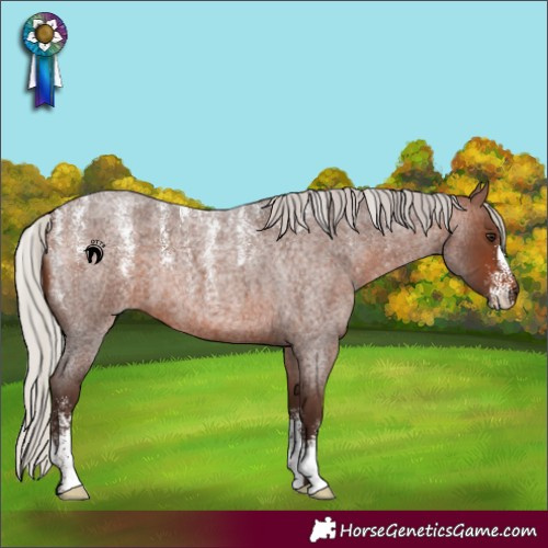 Horse Color:Powder White Silver Brown Roan