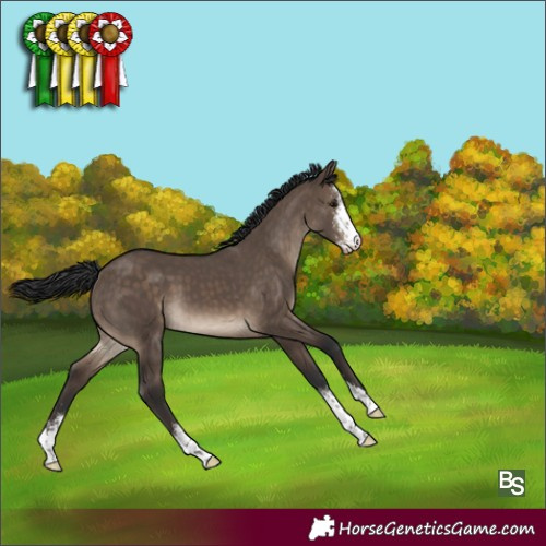 Horse Color:Brown Dun Sabino 