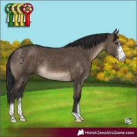 Horse Color:Brown Dun Sabino 