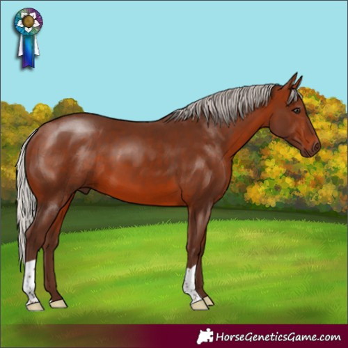 Horse Color:Silver Bay 