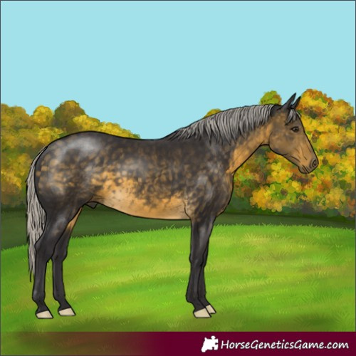 Horse Color:Silver Buckskin 