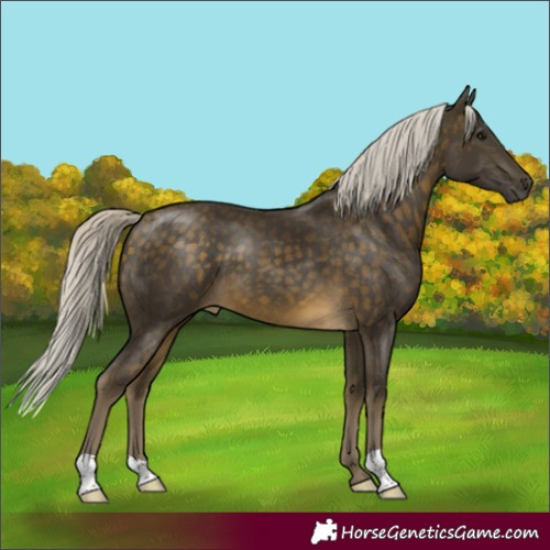 Horse Color:Silver Buckskin 