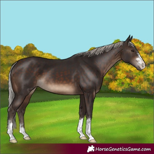 Horse Color:Silver Brown