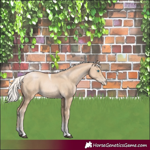 Horse Color:Silver Smoky Black Tobiano 