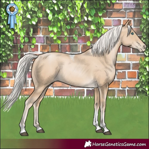 Horse Color:Silver Smoky Black Tobiano