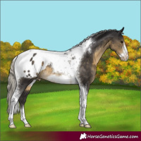 Horse Color:Silver Smoky Black Tobiano Frame Varnish 