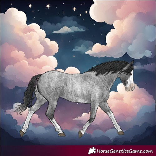Horse Color:Blue Roan Sabino Splash  and Blue Roan Sabino Splash 
